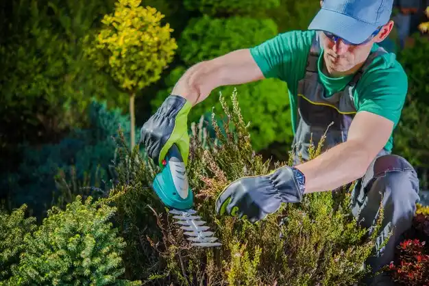 landscaping services Onset